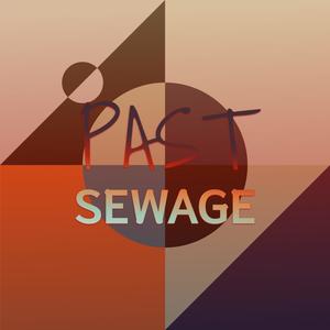 Past Sewage