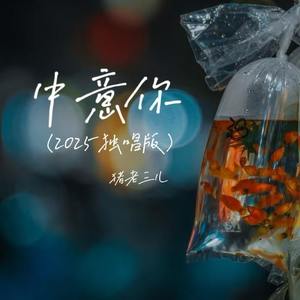 中意你 (2025独唱版)