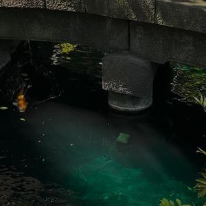 ripples through the continuum