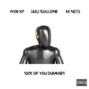 SICK OF YOU DUMMIES (Explicit)