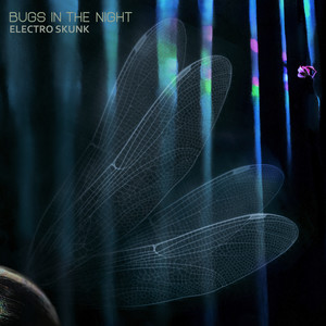 Bugs in the Funky Night