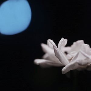 与她 (Pord.xw2danger)