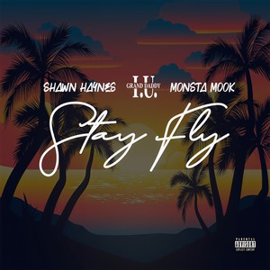 Stay Fly (Radio Edit)