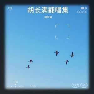 我们都会错 - 胡长满封面
