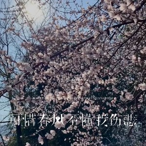 可惜春风不懂我伤悲封面