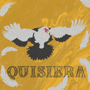 Quisiera