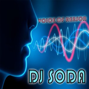 Voice of Reason (Original Mix)