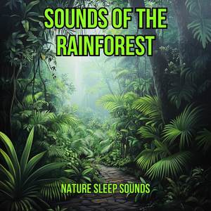 Sounds of the Forest