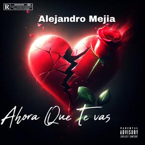 Ahora Que Te Vas