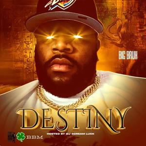 Destiny (Explicit)