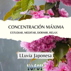 Lluvia Japonesa -Concentración Máxima - Estudiar, Meditar, Dormir, Relax