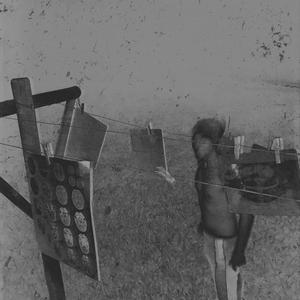 Nunca Vi Tucano de Regata(feat. Selegatto)