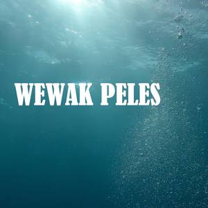 Wewak Peles (with Clemz, Avisat & Felix Yausi)