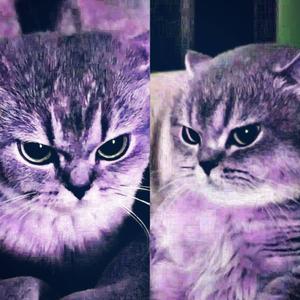 Za Miły (feat. spazma) (Explicit)