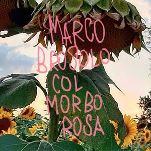 col morbo rosa