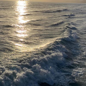 Out of the Ocean & into the Street