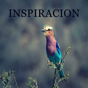 No seas un hombre de éxito. Sé un hombre de valor.