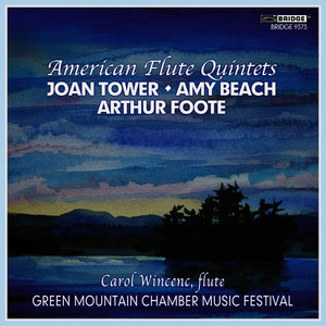 Theme and Variations, Op. 80: VI. Variation 5 - Largo di molto, con grand' espressione