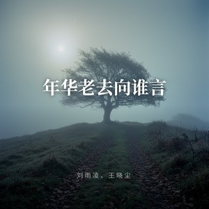 年华老去向谁言