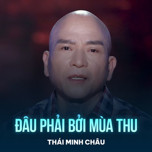 Đâu Phải Bởi Mùa Thu