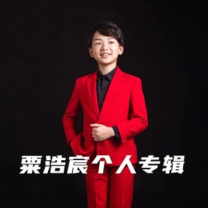 柳柳之歌