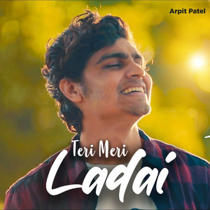 Teri Meri Ladai