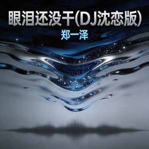 眼泪还没干 (DJ沈恋版)