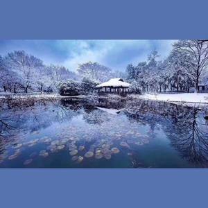 《雪落下的声音 》国乐版