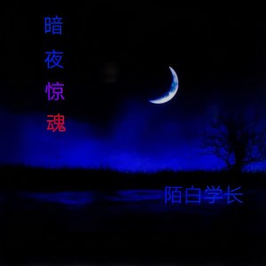 暗夜惊魂