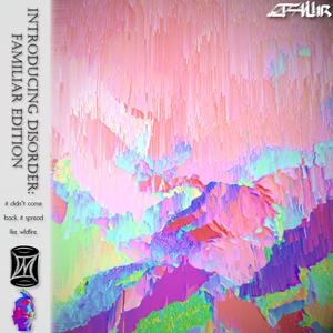 Introducing Disorder (poligon Remix)