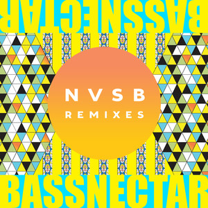 Mystery Song (Bassnectar Remix)