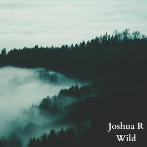 Wild (Extended Mix)