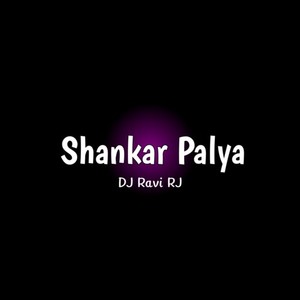Shankar Palya (Remix)