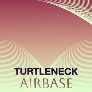 Turtleneck Airbase