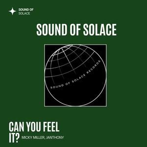 Can You Feel It? (Extended Mix)