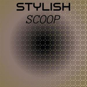 Stylish Scoop