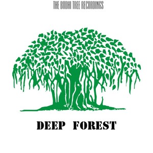 Deep Forest