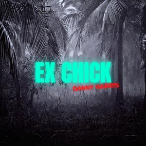 Ex Chick (Explicit)