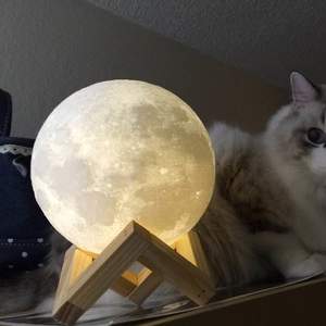 上瘾 (prod.by.redkiller)