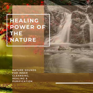 Healing Power Of The Nature - Nature Sounds For Inner Cleansing, Healing & Purification