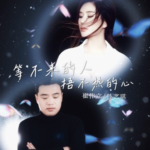 等不来的人 捂不热的心封面