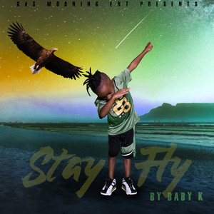 Stay Fly