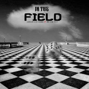 IN THE FIELD (feat. Mr Swipey) [Explicit]