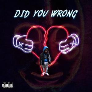 Did you wrong (Explicit)