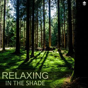 Ain't Got Nobody (Fudo Kazuki bootleg mix)