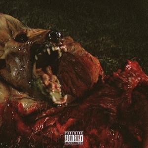 ANTARTIDE (Explicit)