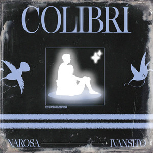 Colibri