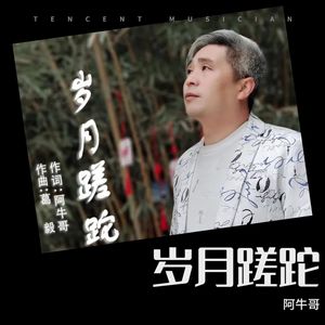 岁月蹉跎伴奏 (伴奏)