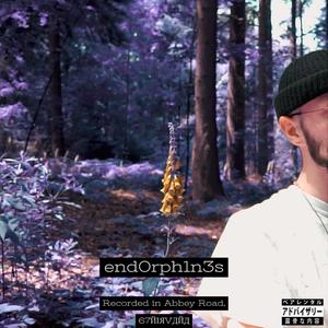 end0rph1n3s (Explicit)