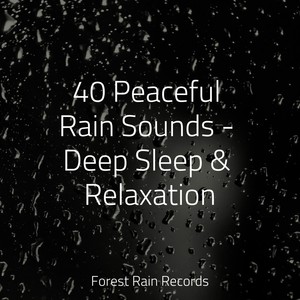 40 Peaceful Rain Sounds - Deep Sleep & Relaxation